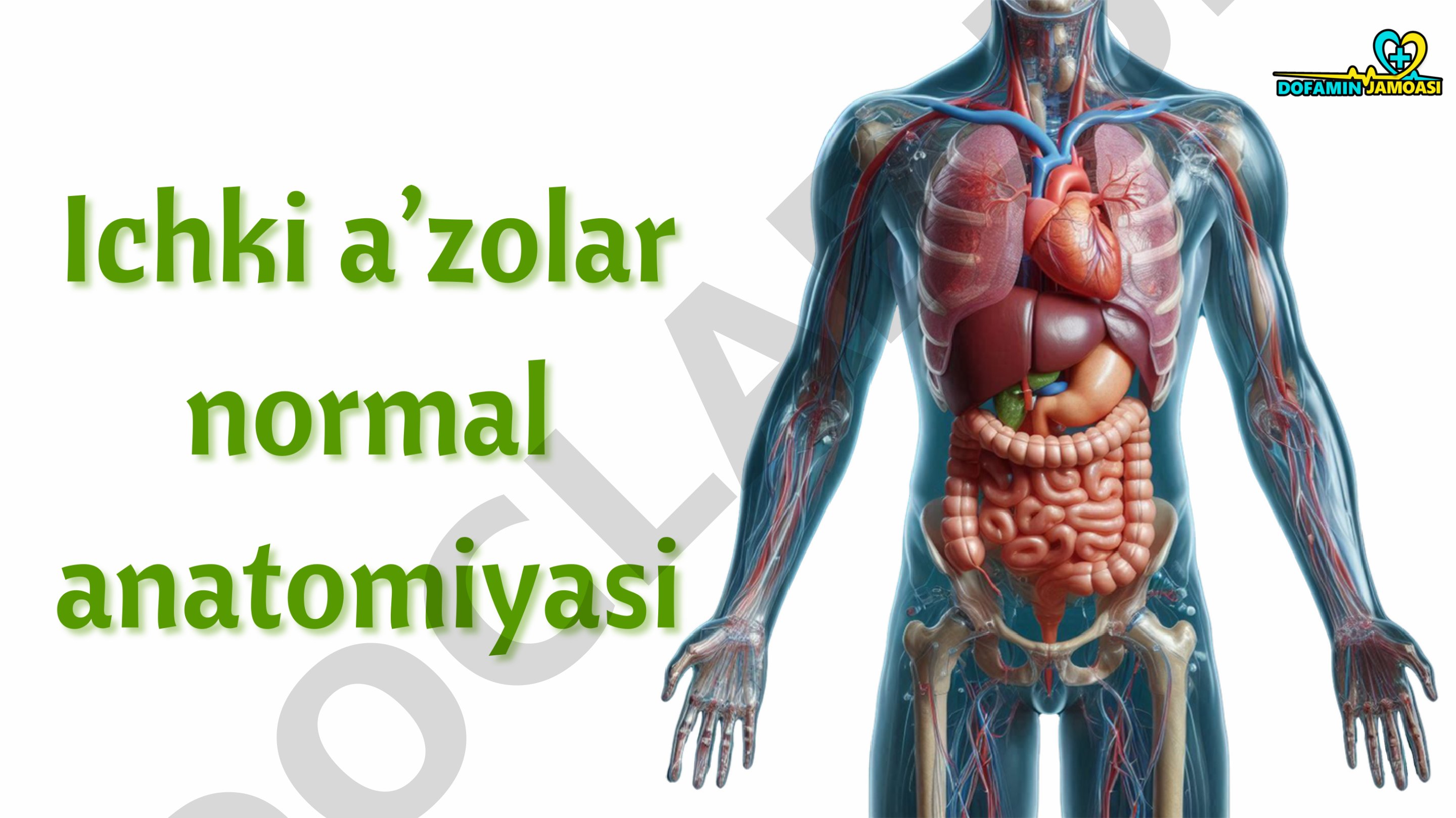 Hazm sistemasi Oshqozon osti bezi