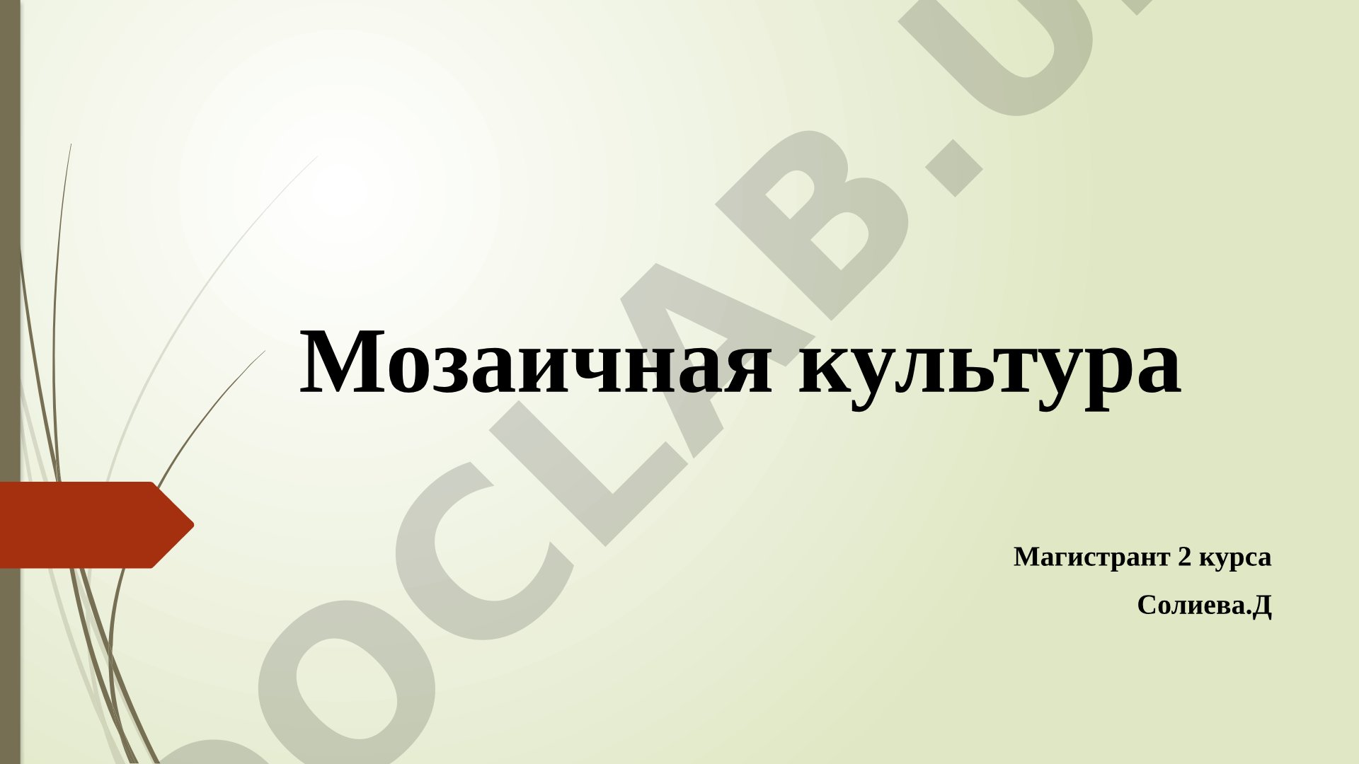 Мозаичная культура