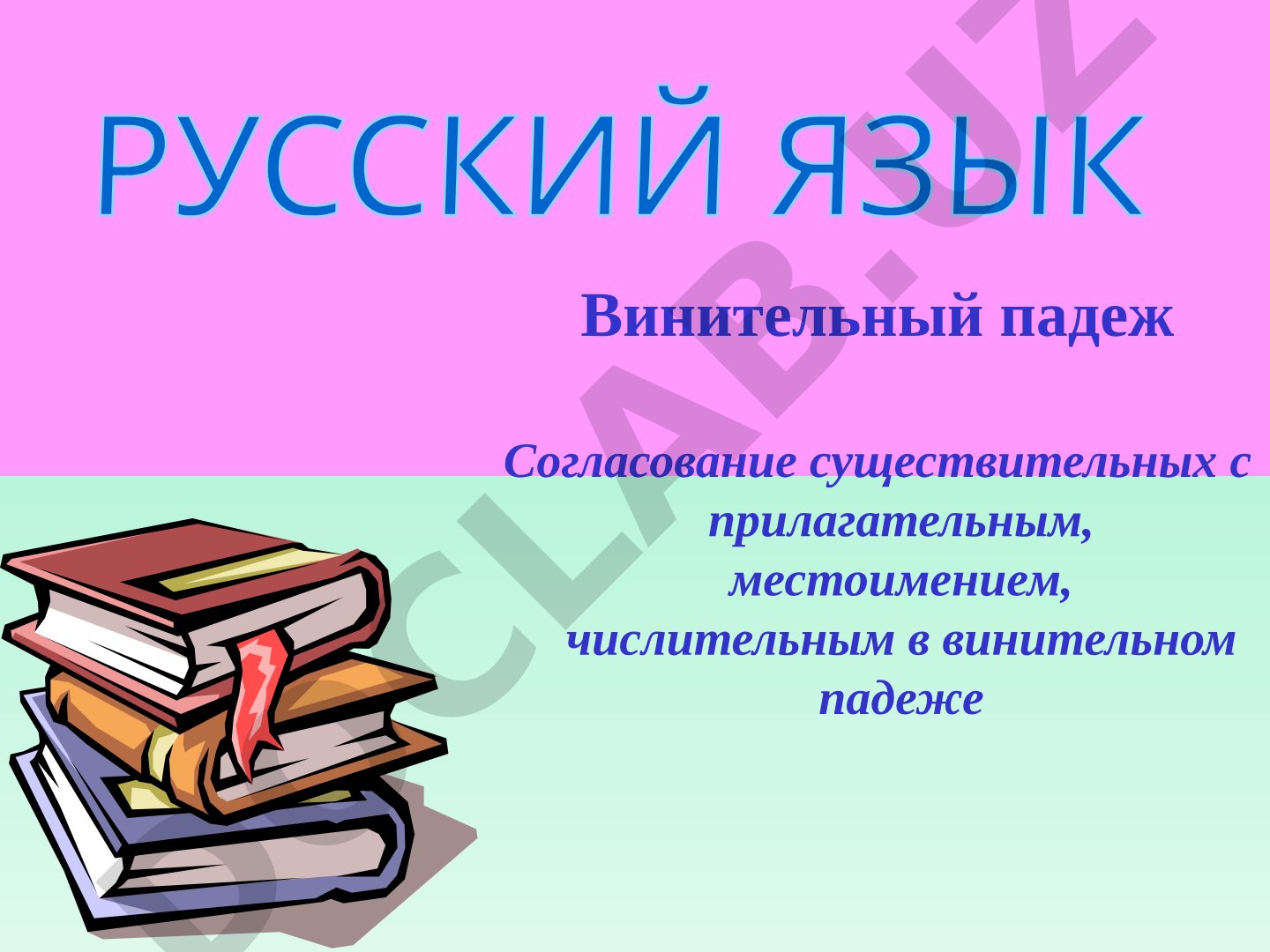 Винительный падеж имен существительных