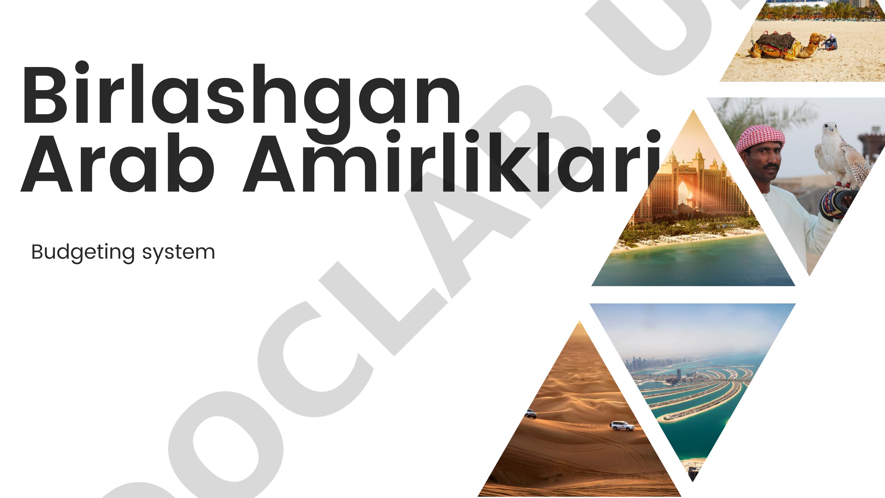 Birlashgan Arab Amirliklari Budgeting system