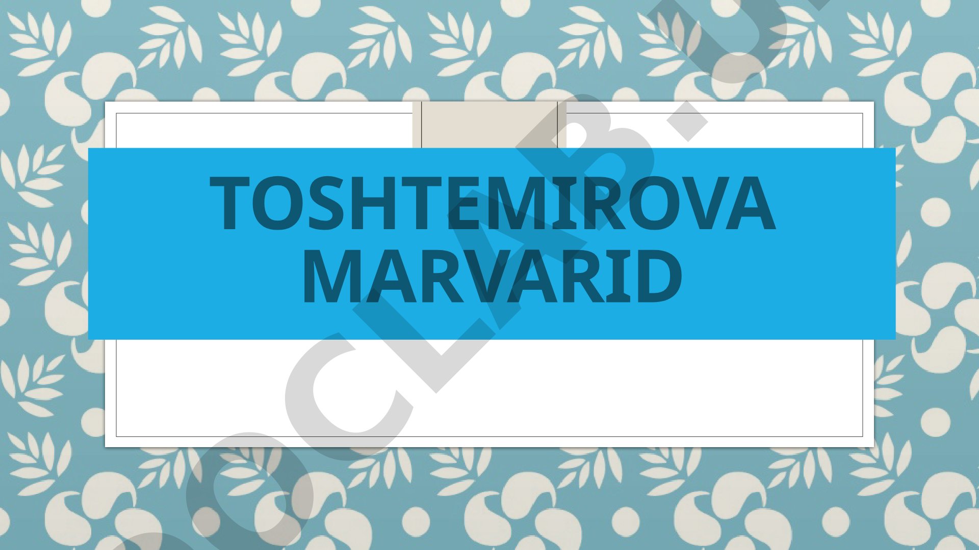 Arduino dasturi haqida umumiy ma’lumotlar