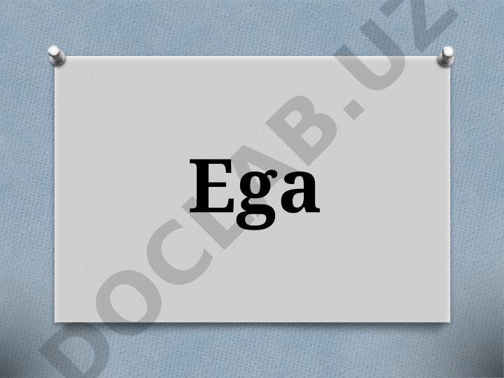 O‘zbek tili darsligi: Ega va kesim mavzusida mashqlar