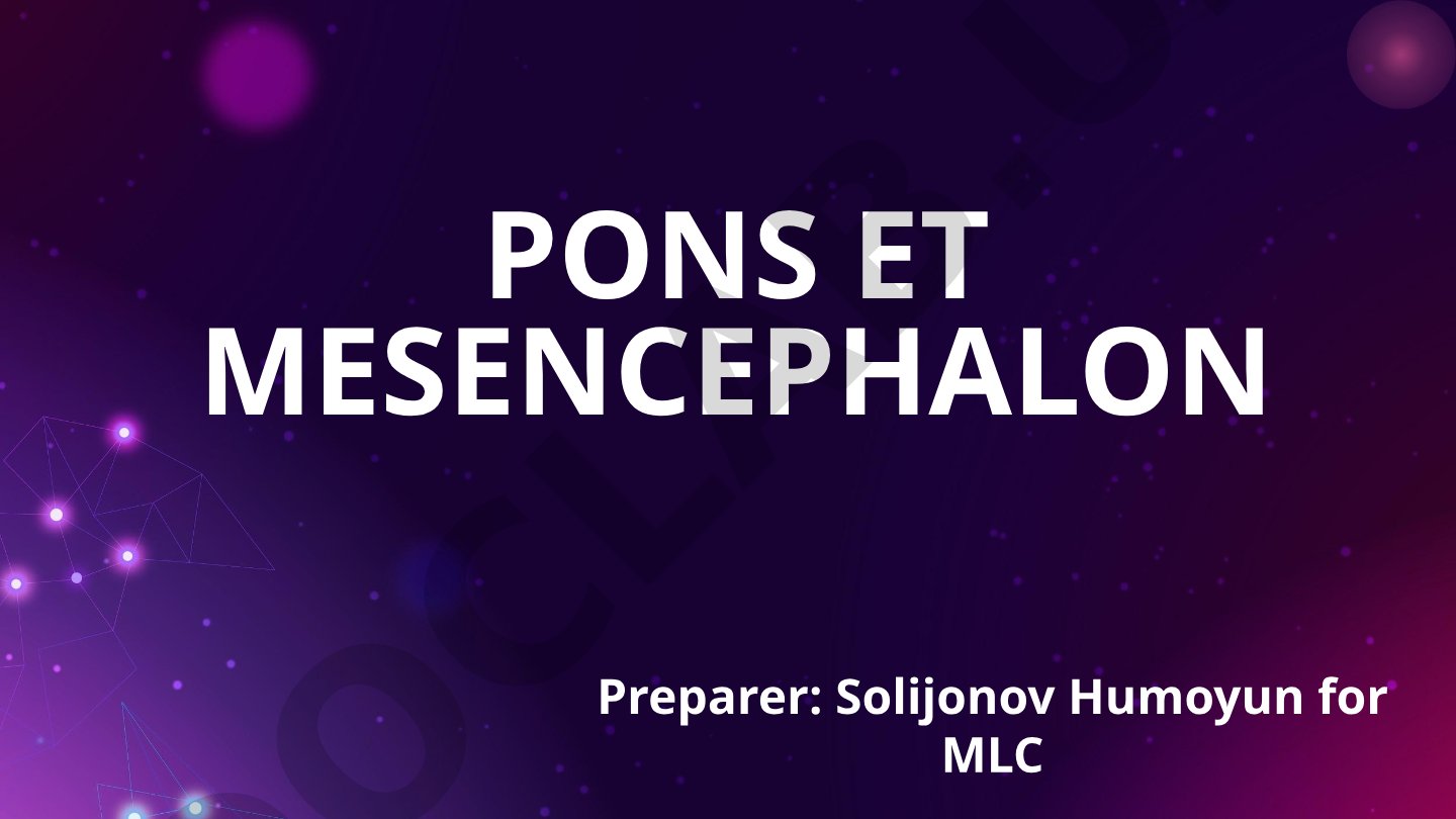 Pons va mesencephalon