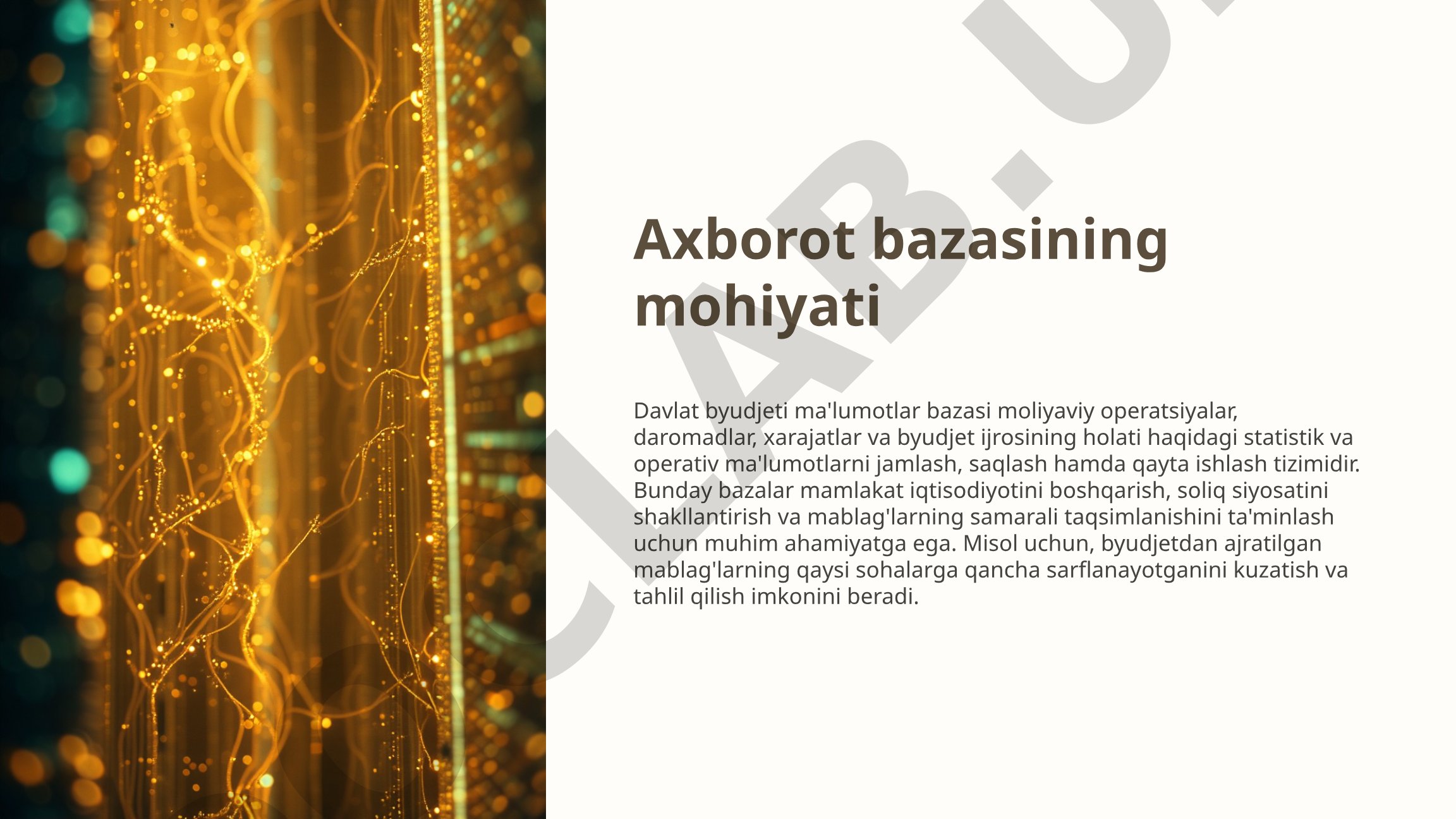 Davlat byudjeti ma'lumotlar bazasi