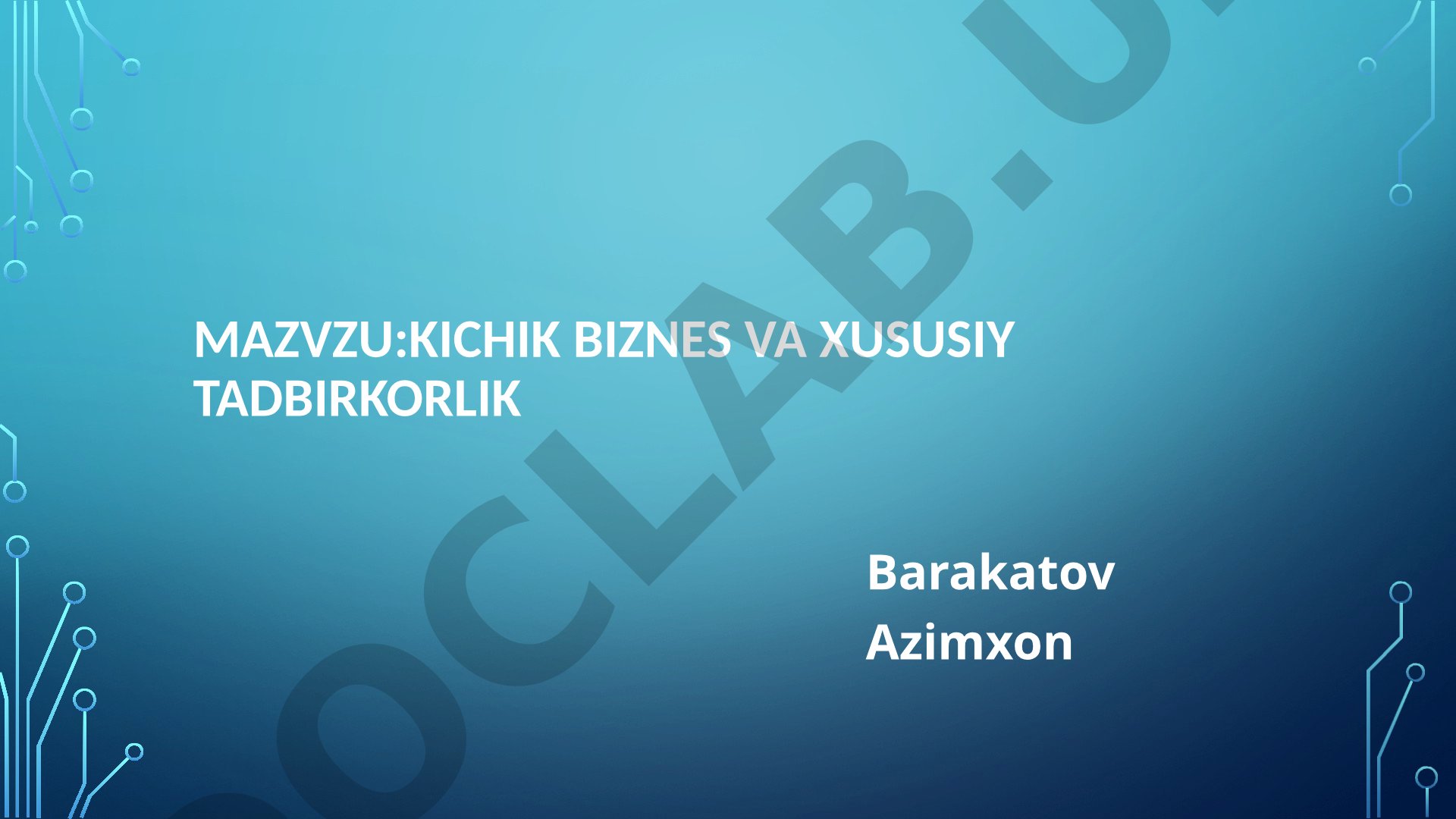 Kichik biznes va xususiy tadbirkorlik