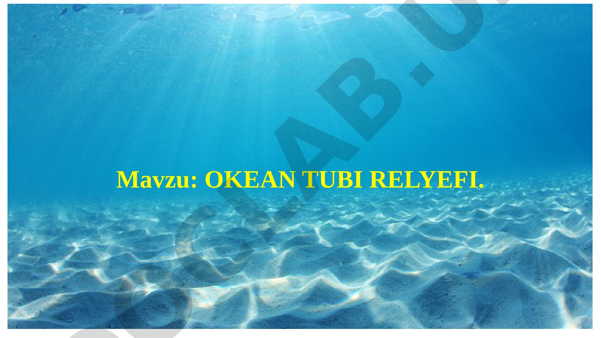 Okean tubi relyefi