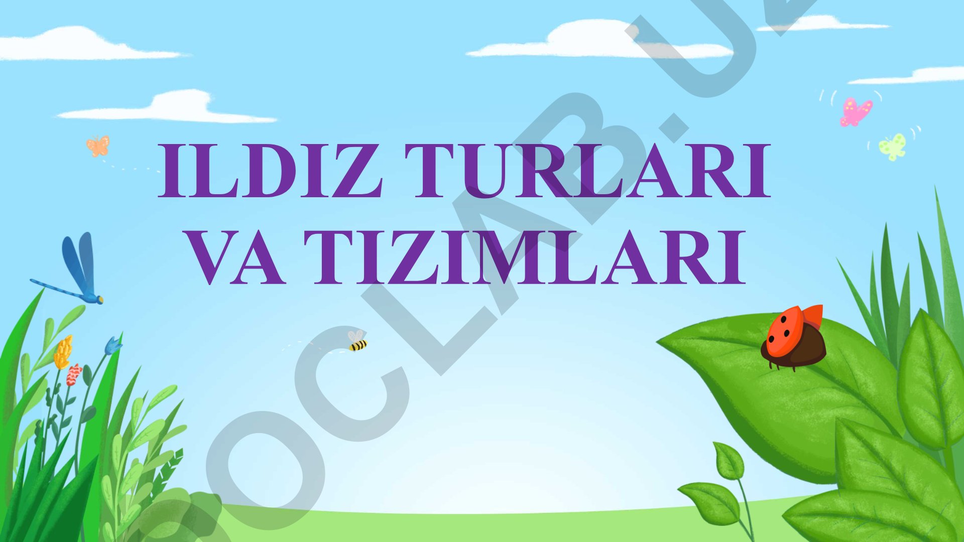 Ildiz turlari va tizimlari