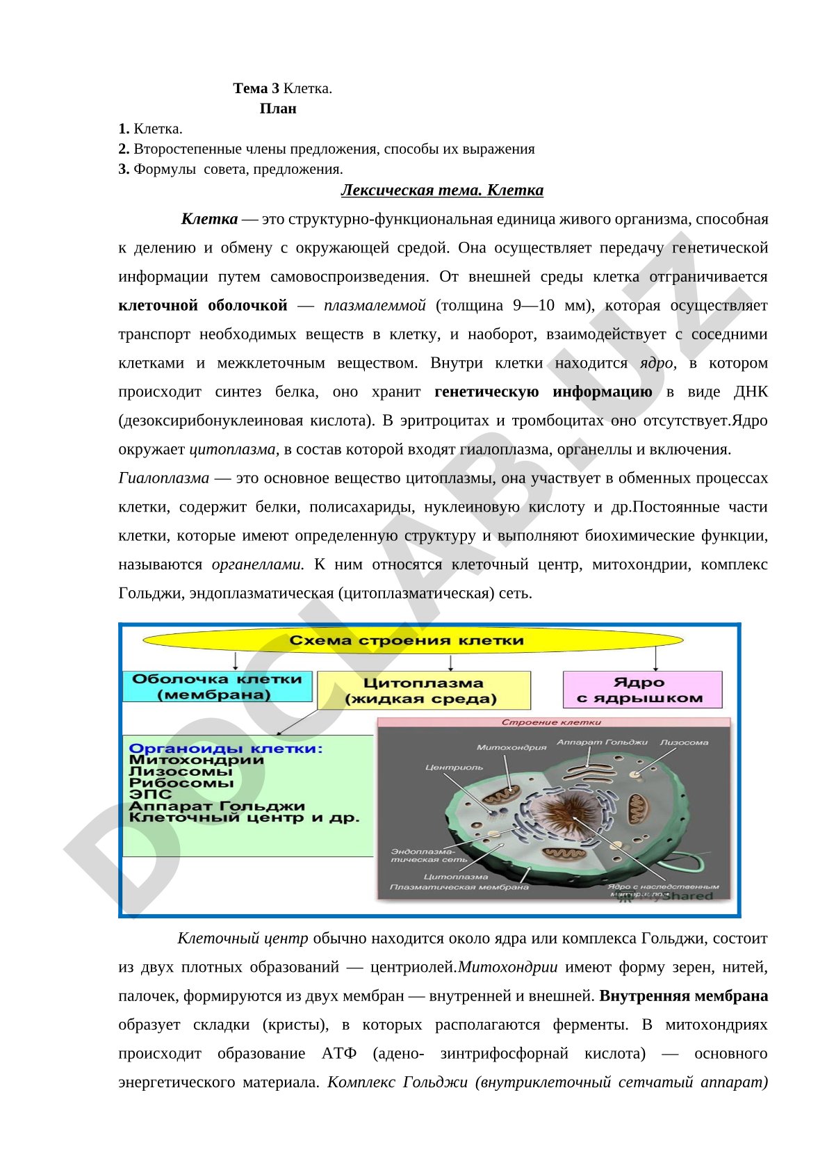 Клетка