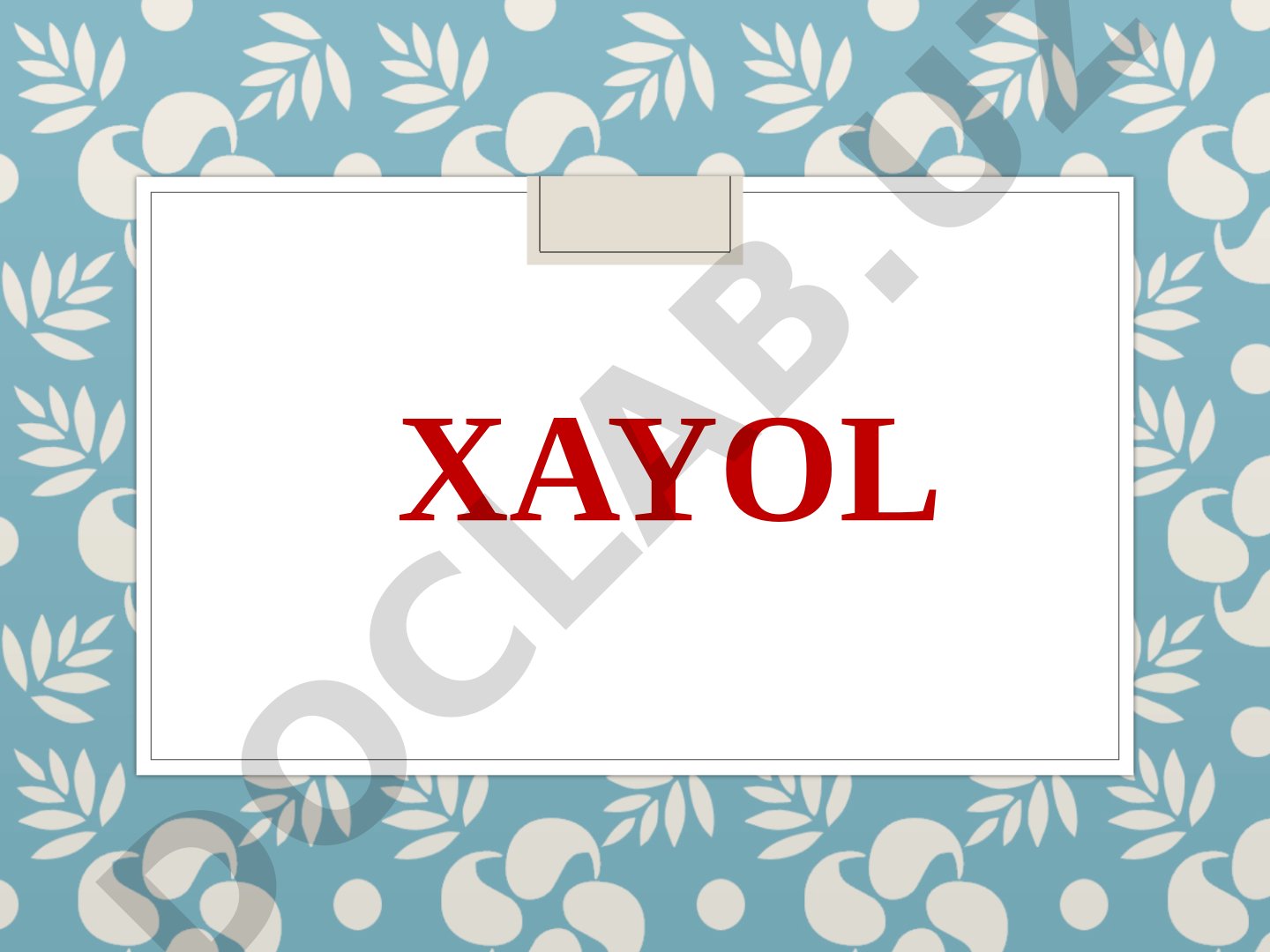 XAYOL