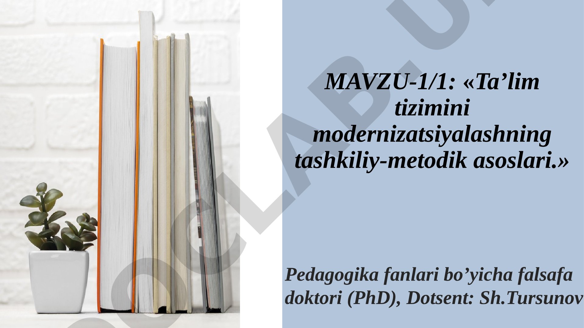 Ta’lim tizimini modernizatsiyalashning tashkiliy-metodik asoslari