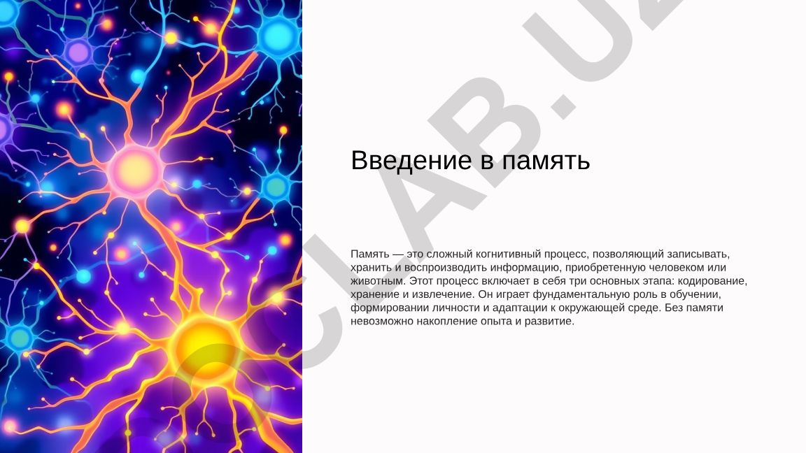 Память: основные процессы и механизмы хранения информации