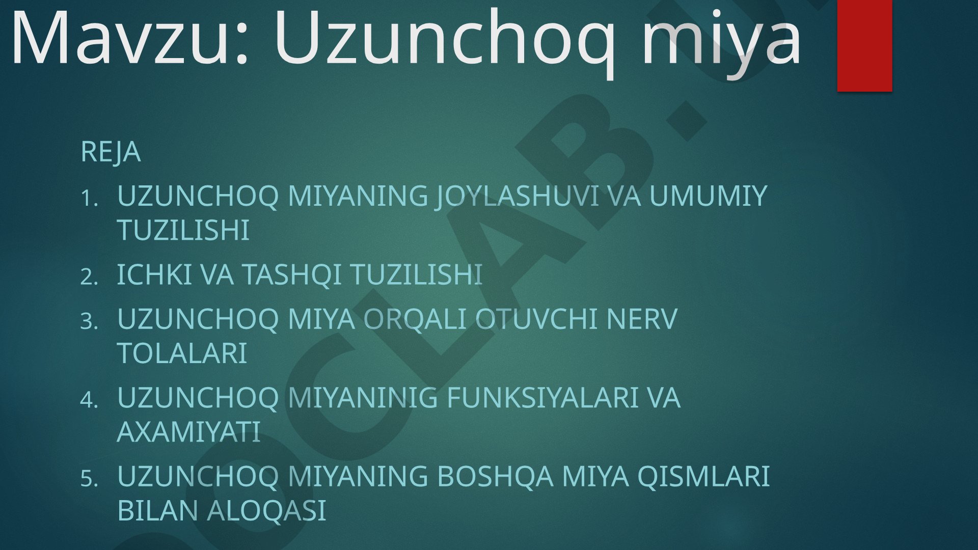 Uzunchoq miya reja