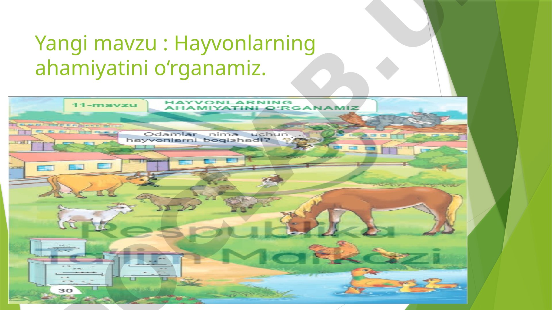 Darsda hayvonlarning odamlar hayotidagi ahamiyati, ularning turlari va foydalari haqida