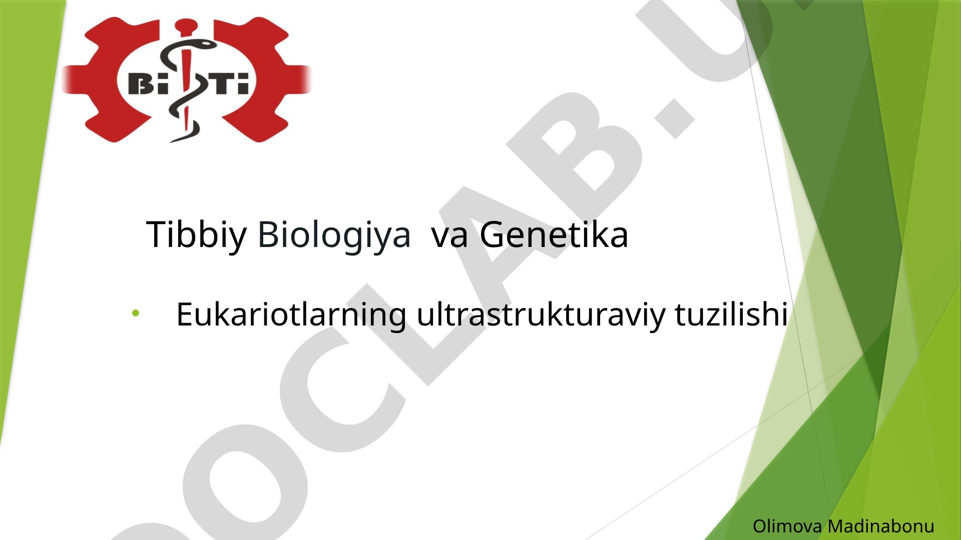 Tibbiy Biologiya va Genetika Eukariotlarning ultrastrukturaviy tuzilishi