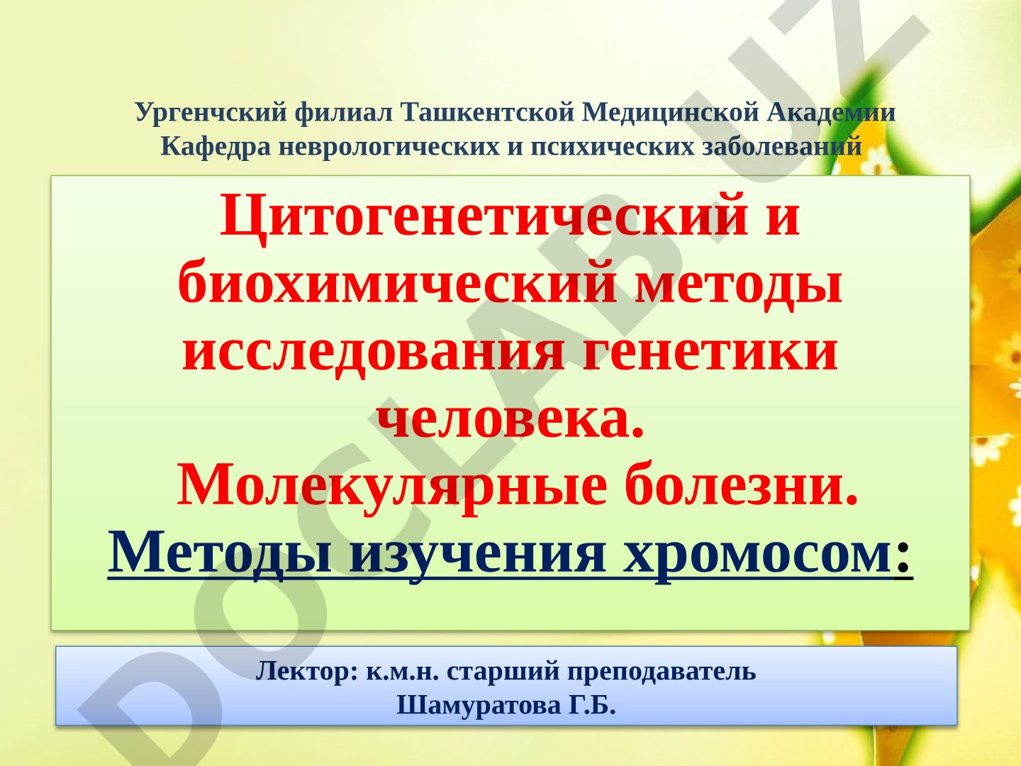 Цитогенетический и биохимический методы исследования генетики человека