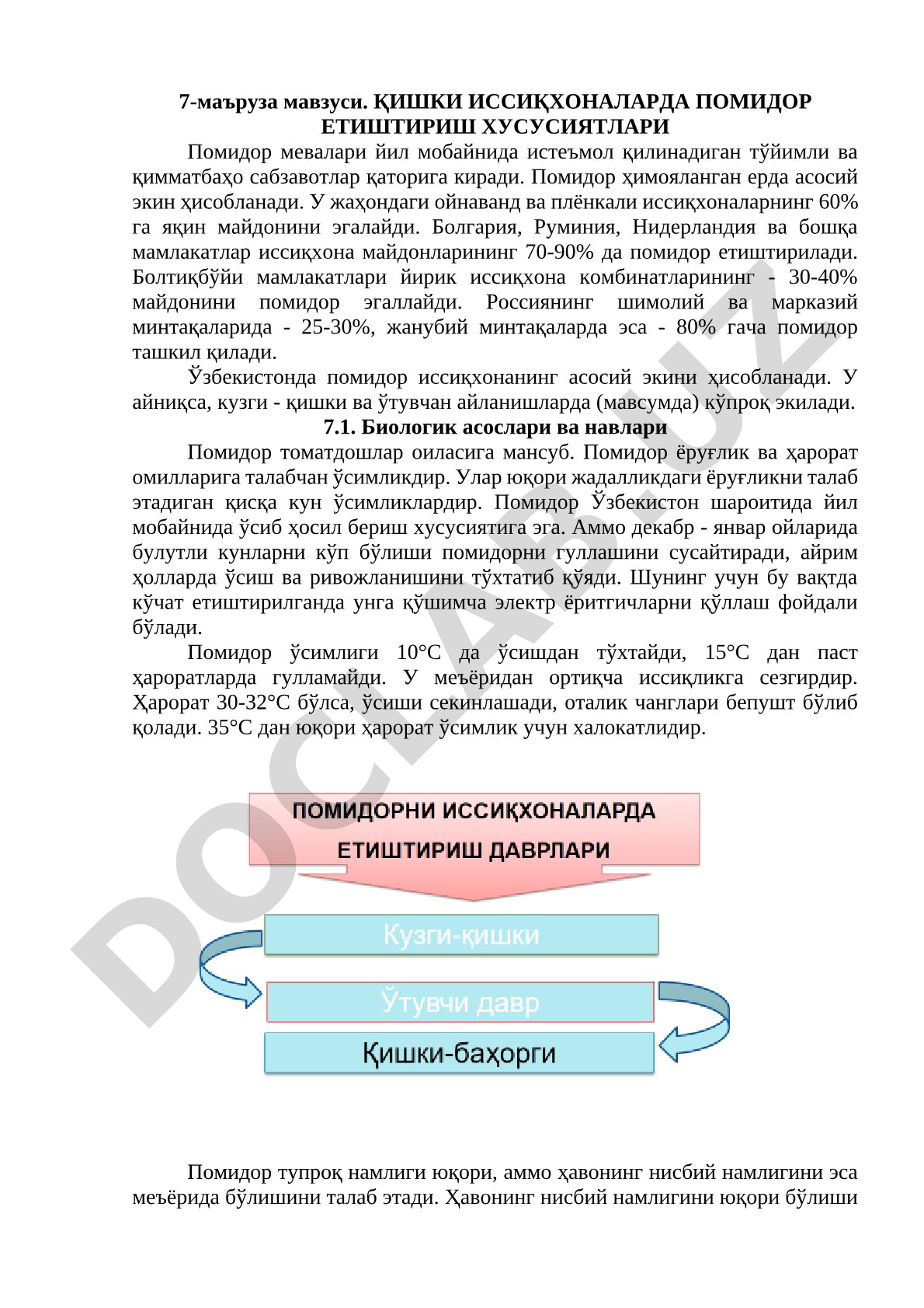 Қишки иссиқхоналарда помидор етиштириш хусусиятлари