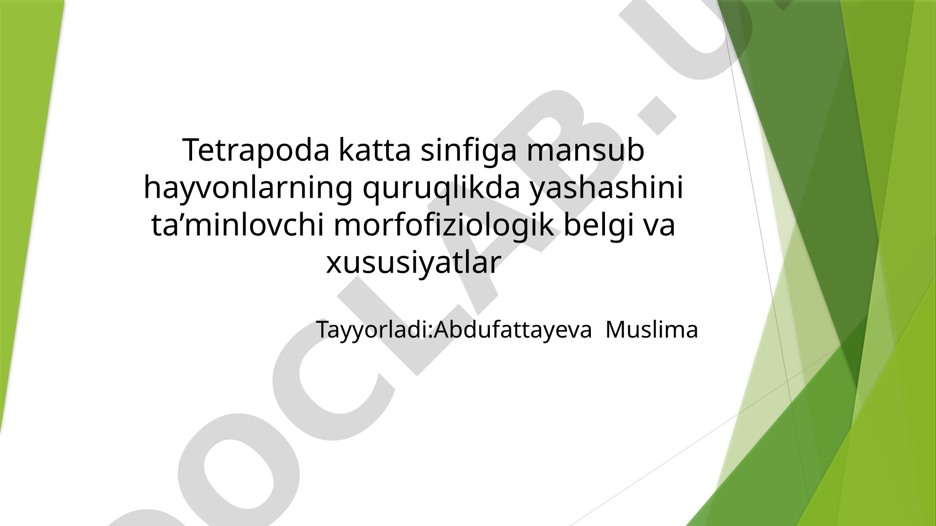 Tetrapodalarning quruqlikka moslashuv morfofiziologik xususiyatlari