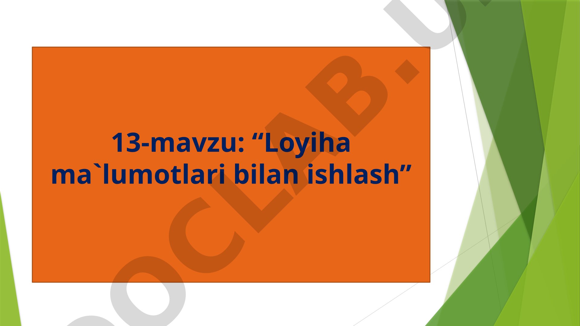 Loyiha ma`lumotlari bilan ishlash