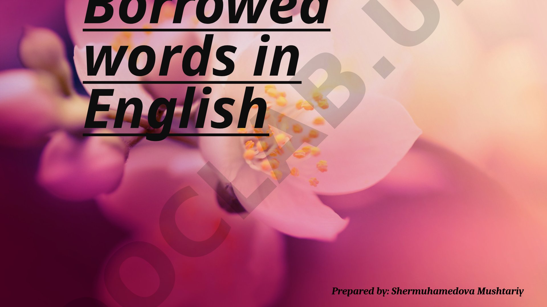 Borrowed words in English