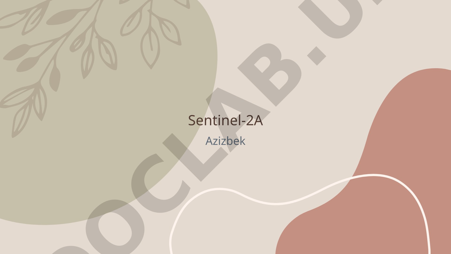 Sentinel-A sun'iy yo'ldoshi vazifalari, Yer kuzatish va monitoring haqida