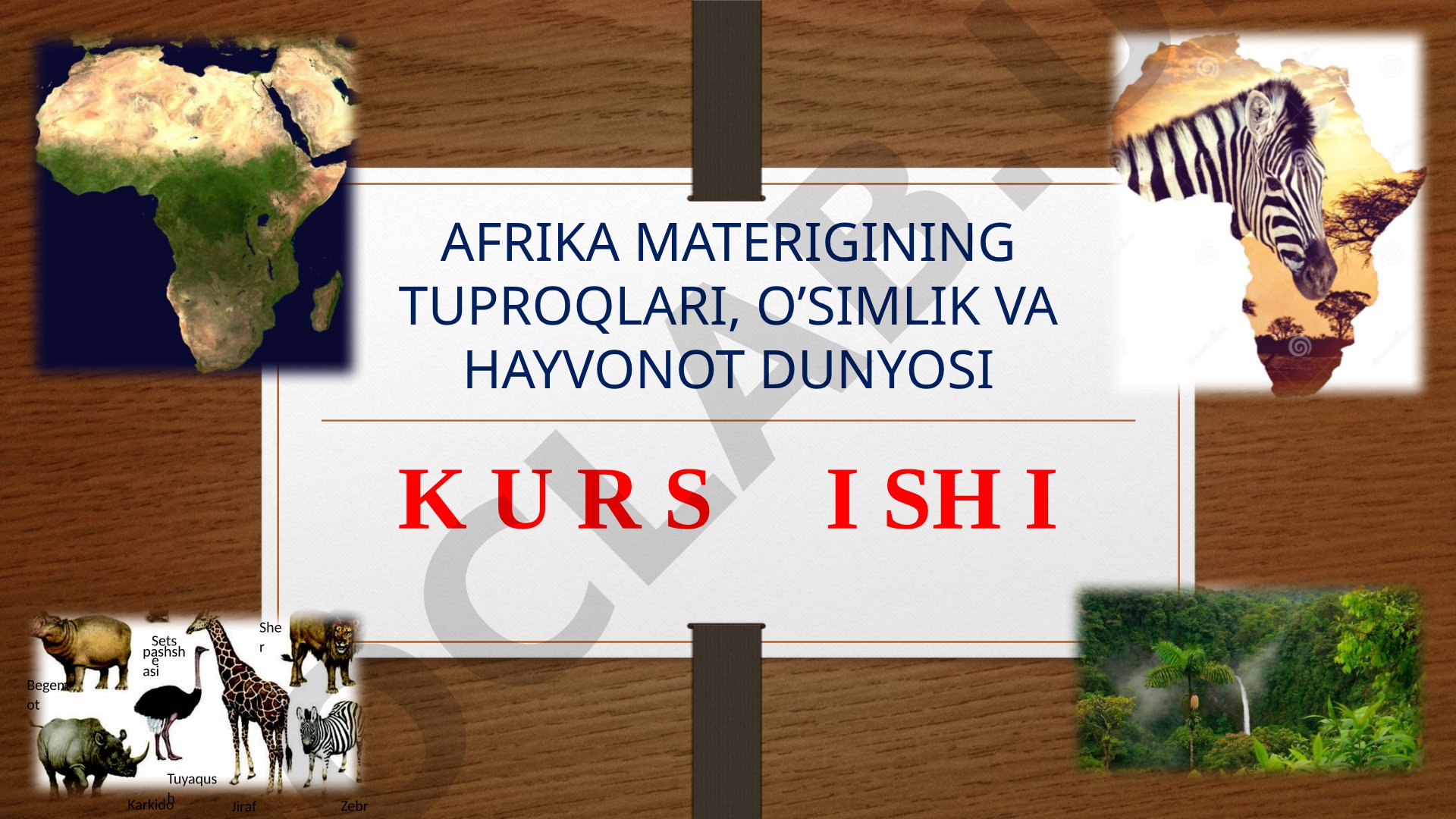 Afrika materigining tuproqlari, o’simlik va hayvonot dunyosi