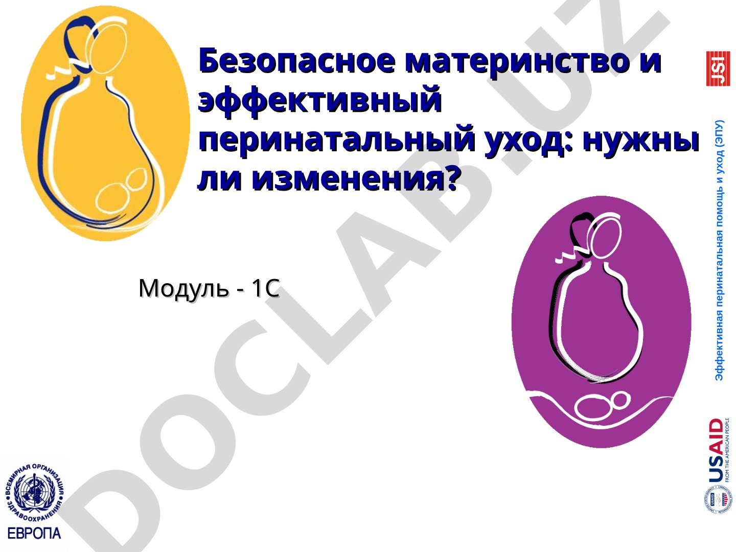 Безопасное материнство и эффективный перинатальный уход: нужны ли изменения?