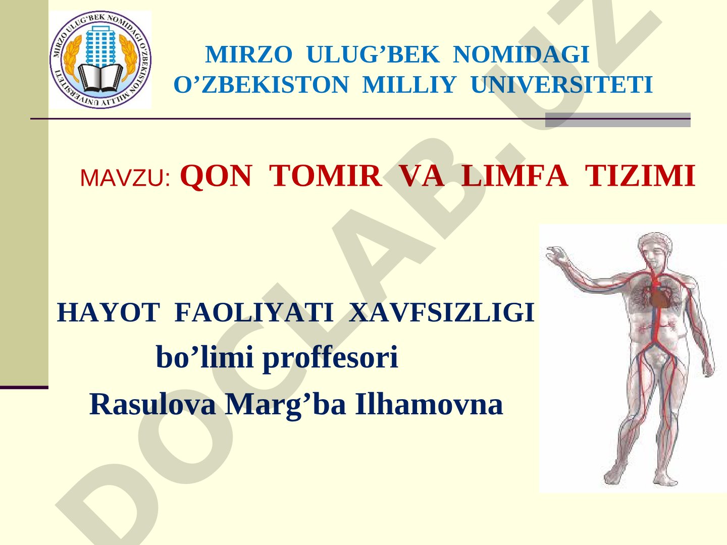 Qon tomir va limfa tizimi hayot faoliyati xavfsizligi