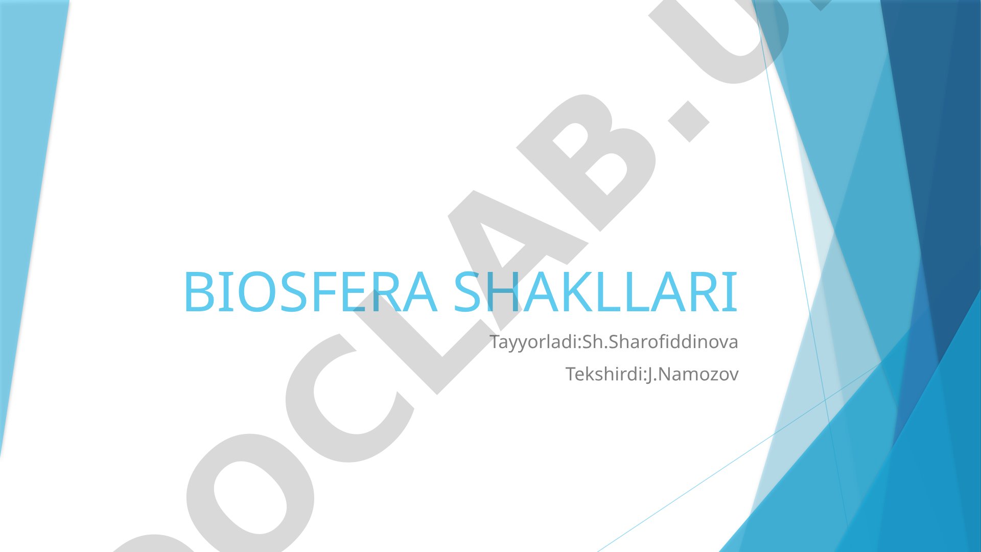 Biosfera shakllari