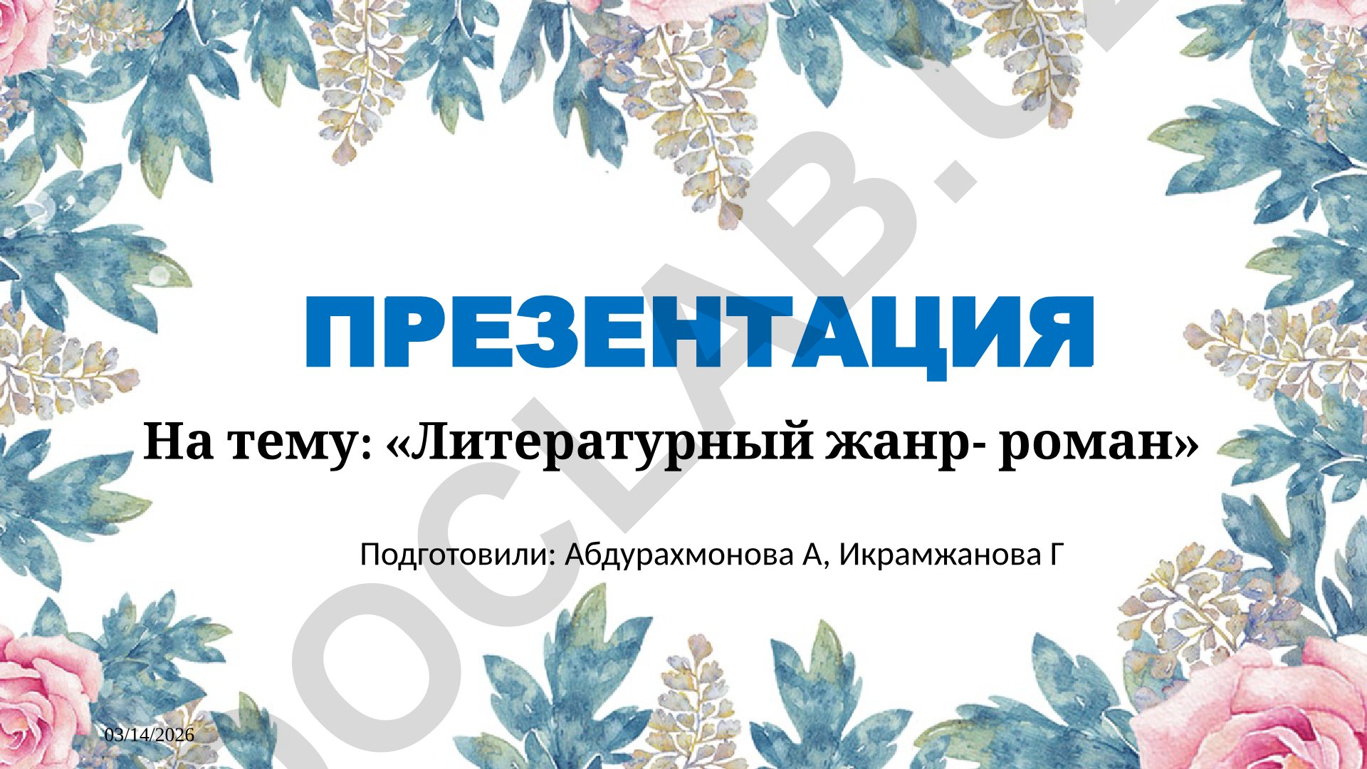 Литературный жанр-роман