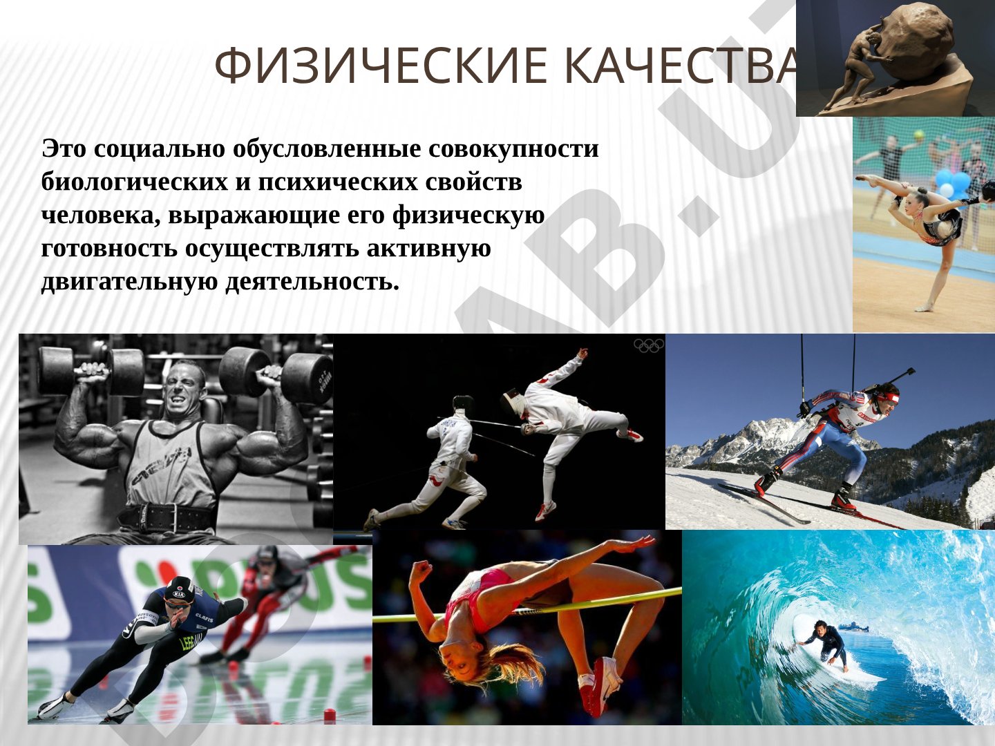 Физические качества и способности