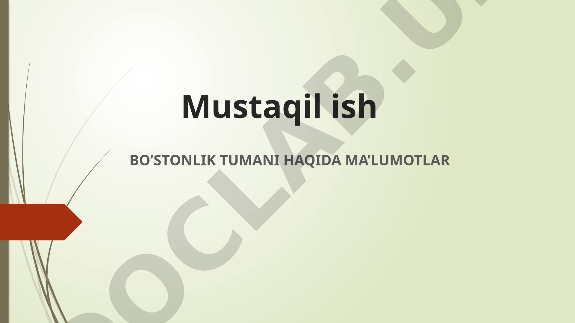 Bo'stonlik tumani haqida ma'lumotlar