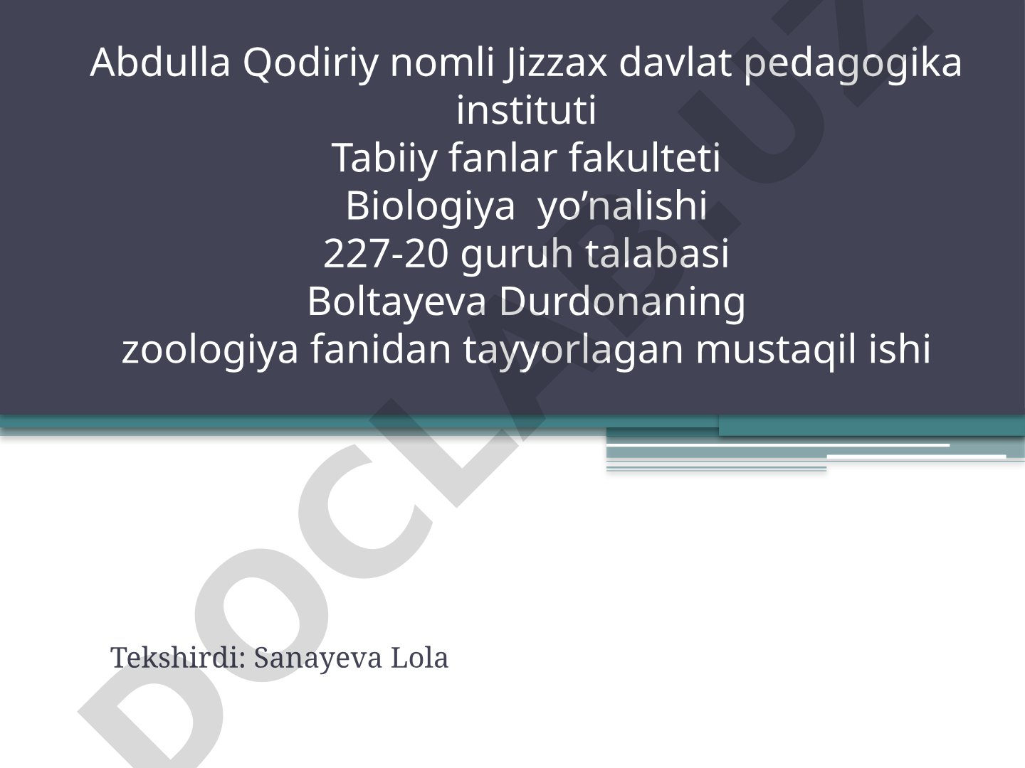 Oqqush (Cygnus cygnus) tavsifi va tasnifi