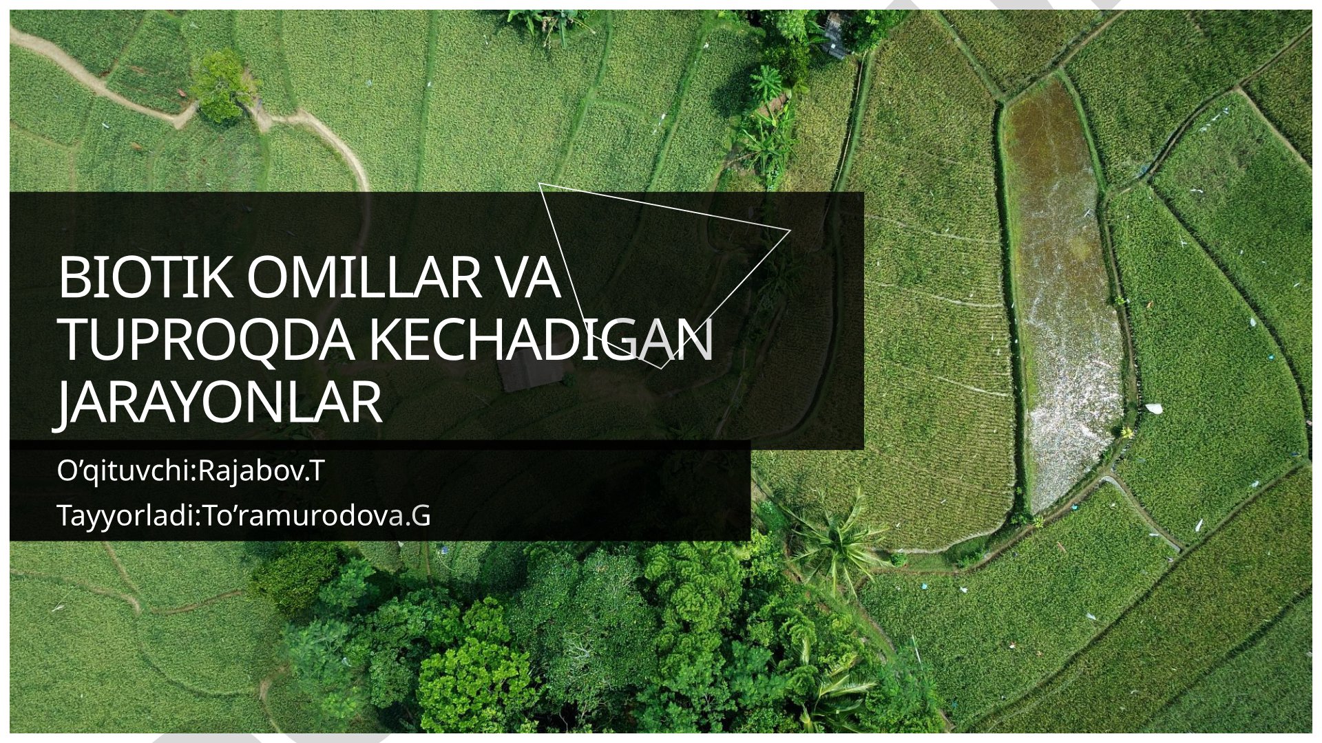Biotik omillar va tuproqda kechadigan jarayonlar