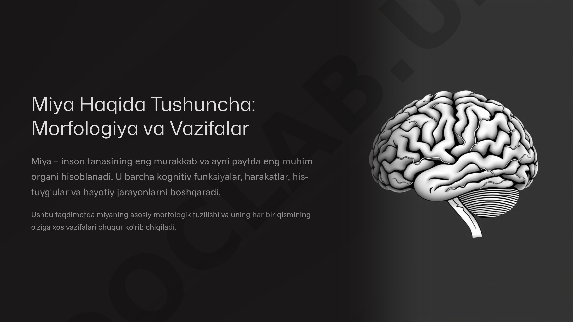 Miya Haqida Tushuncha: Morfologiya va Vazifalar