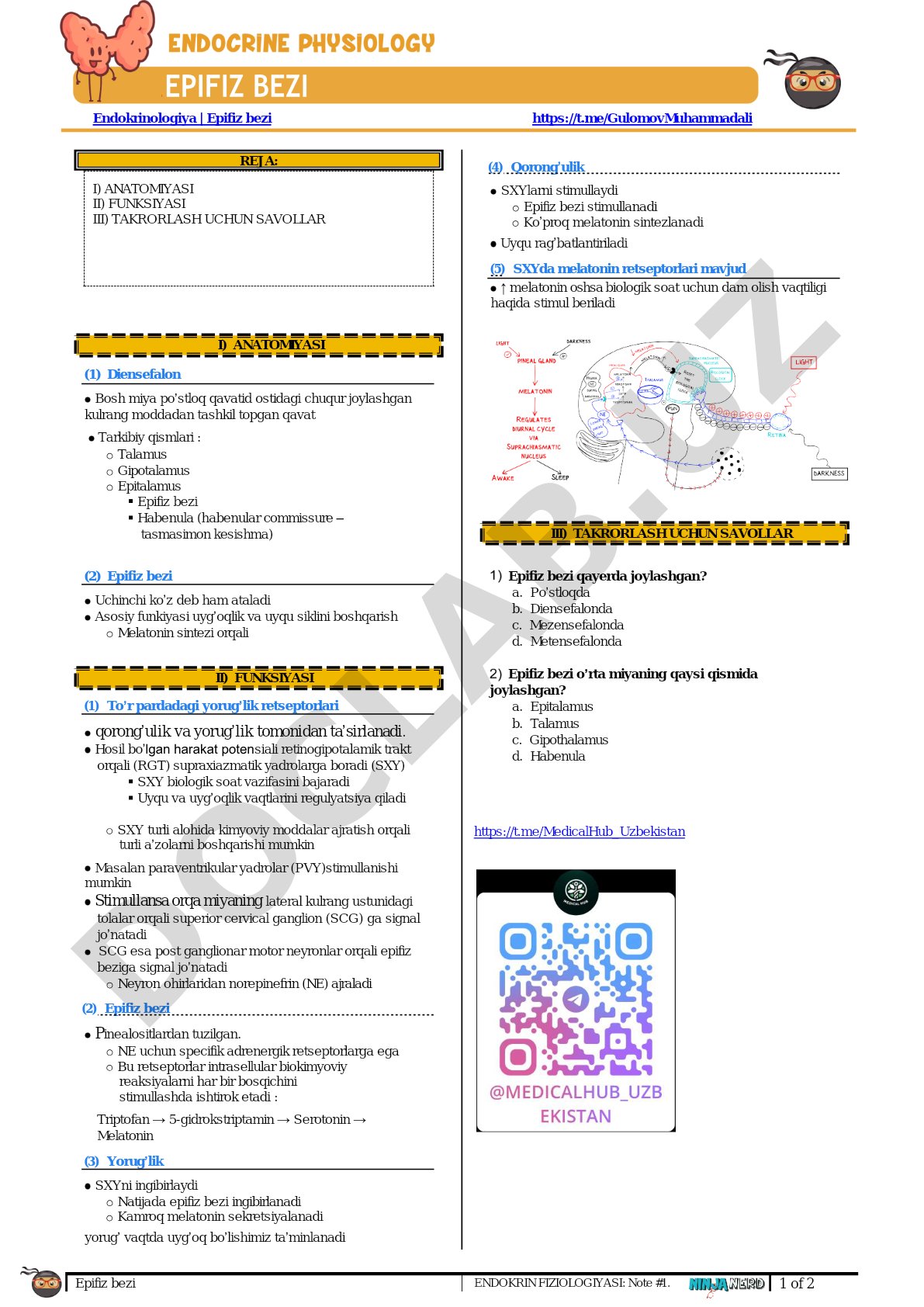 Epifiz bezi endokrin fiziologiyasi