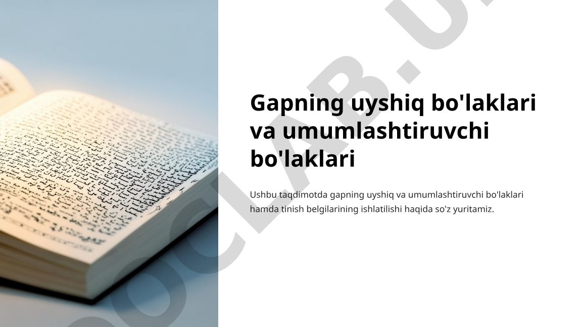 Gapning uyshiq va umumlashtiruvchi bo'laklari hamda tinish belgilari