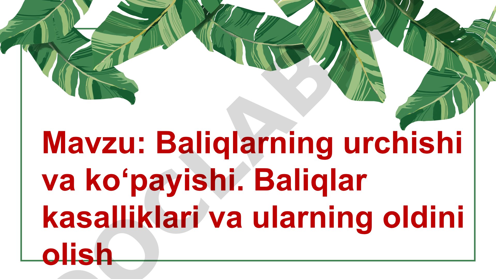 Baliqlarning urchishi va ko‘payishi. Baliqlar kasalliklari va ularning oldini olish
