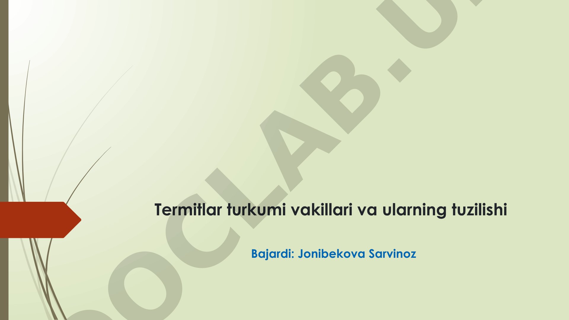 Termitlar turkumi vakillari va ularning tuzilishi