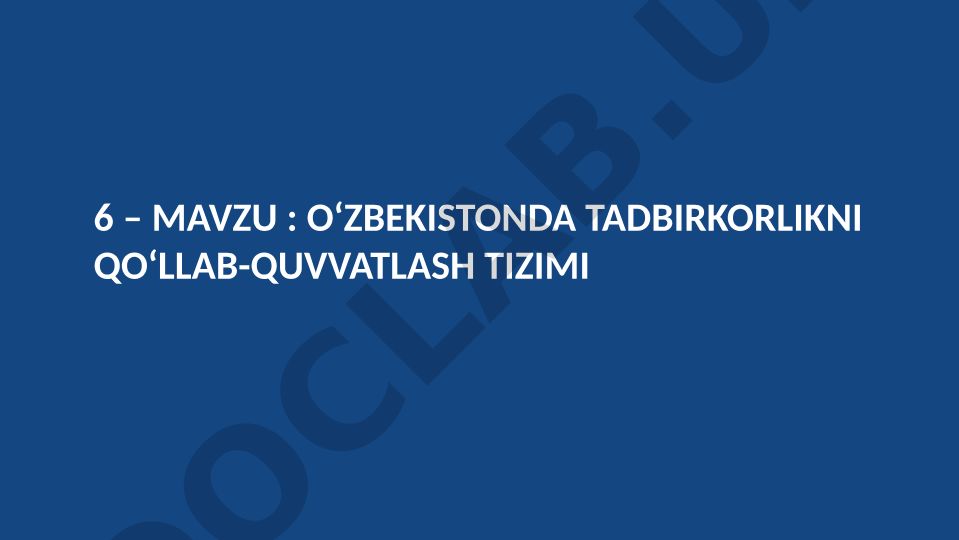 O‘zbekistonda tadbirkorlikni qo‘llab-quvvatlash tizimi