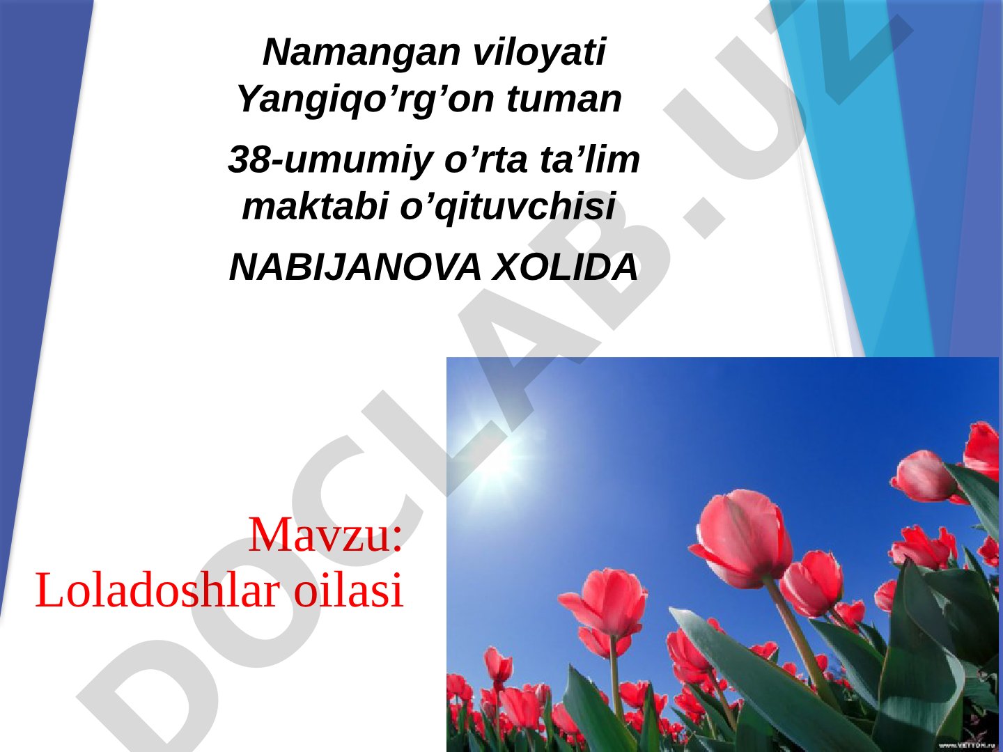 Loladoshlar oilasi