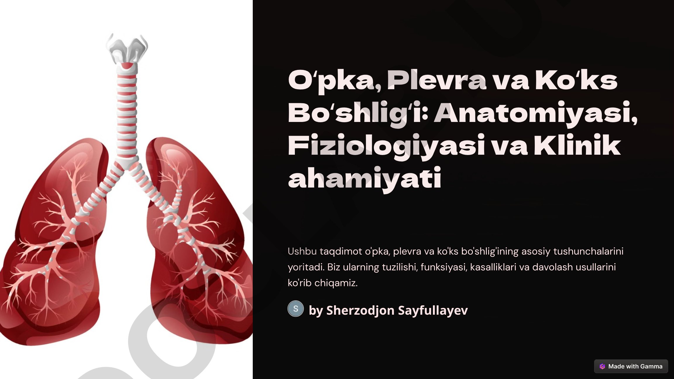 Oʻpka, Plevra va Koʻks Boʻshligʻi: Anatomiyasi, Fiziologiyasi va Klinik ahamiyati