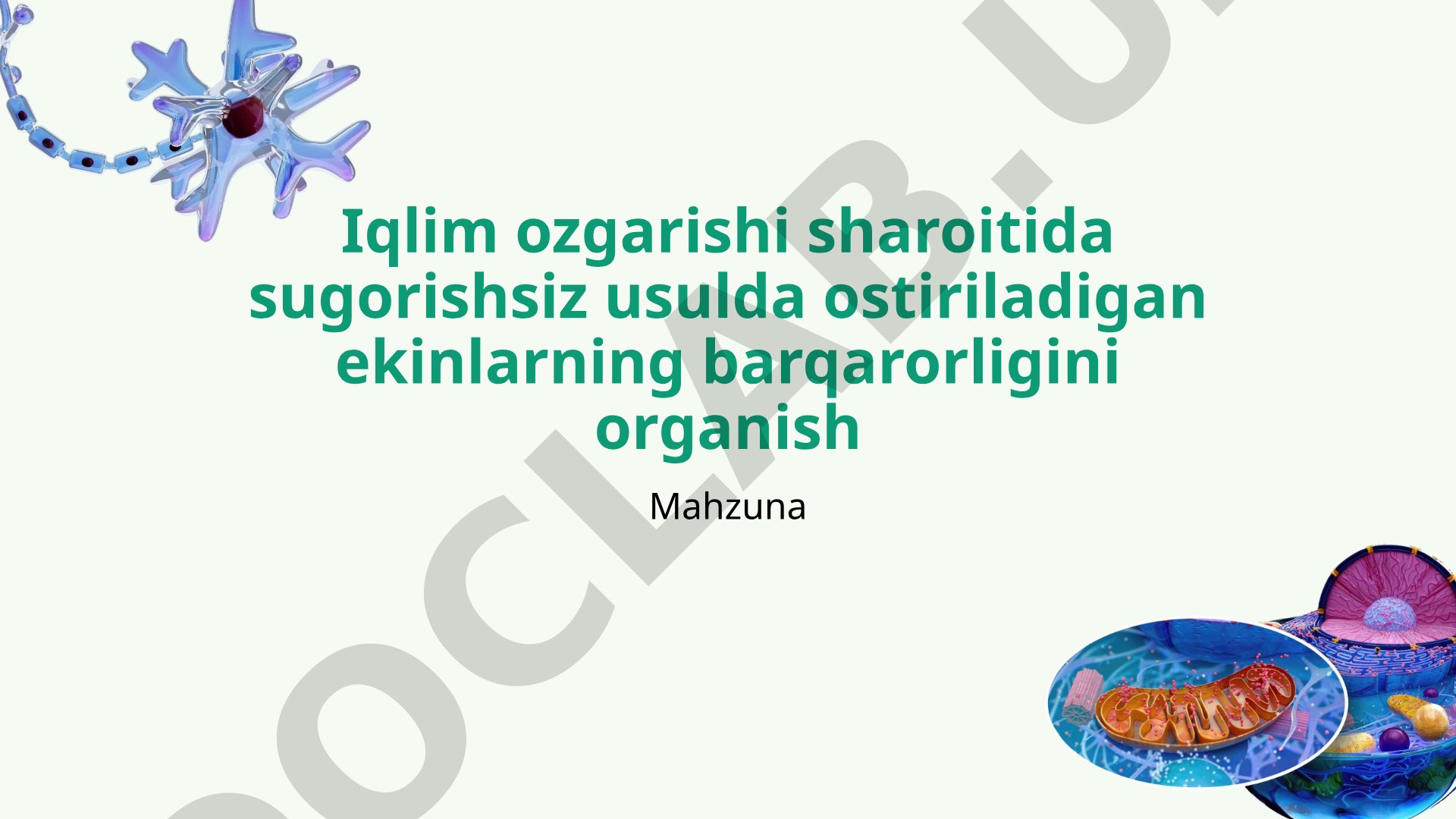 Iqlim o'zgarishi sharoitida sug'orishsiz usulda o'stiriladigan ekinlarning barqarorligini o'rganish