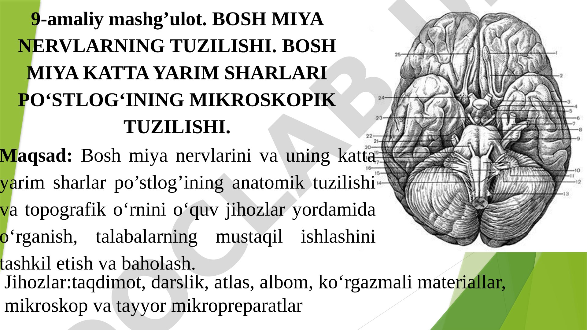 Bosh miya nervlarning tuzilishi va katta yarim sharlar po‘stlog‘ining mikroskopik tuzilishi