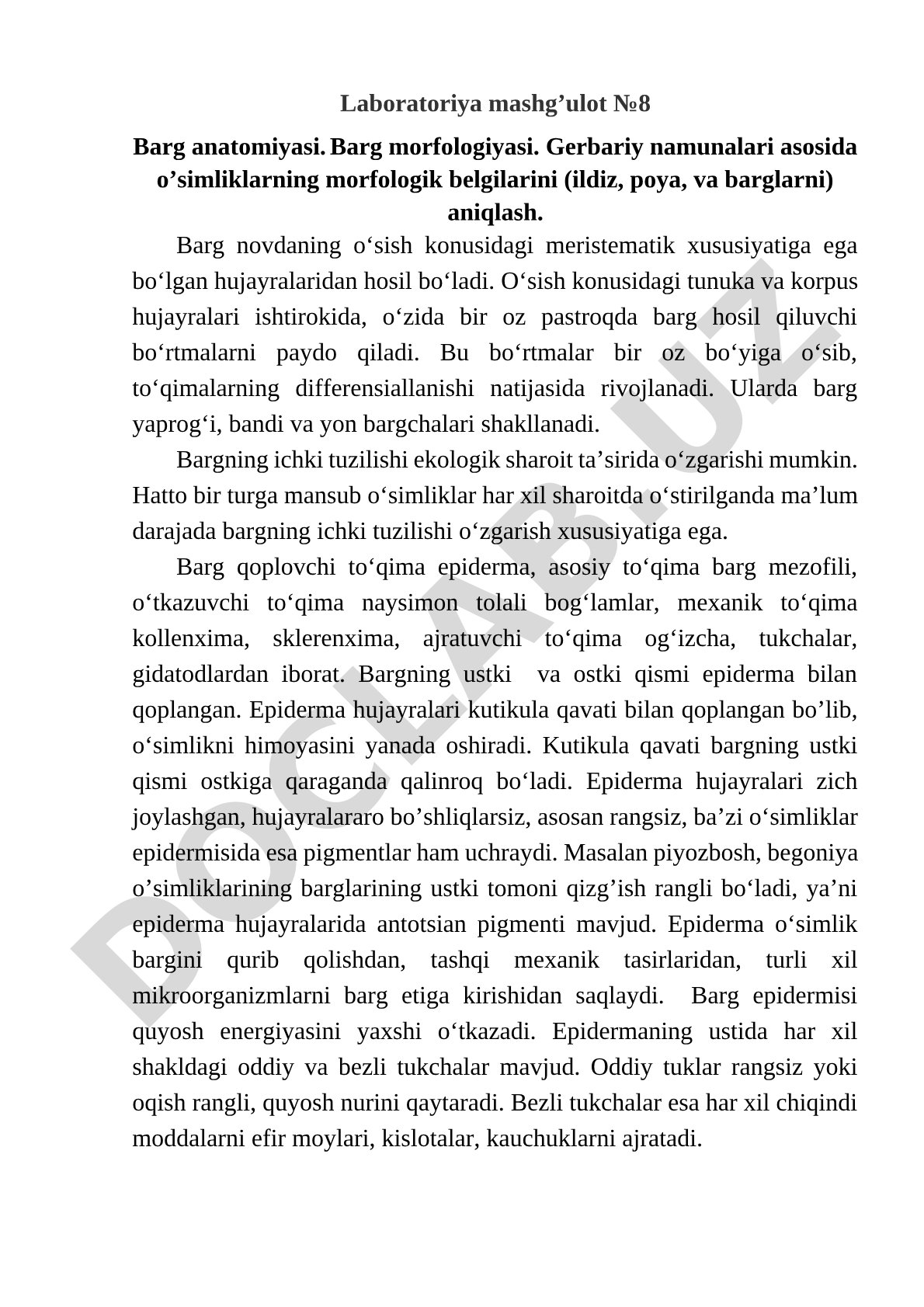 Barg anatomiyasi va morfologiyasi