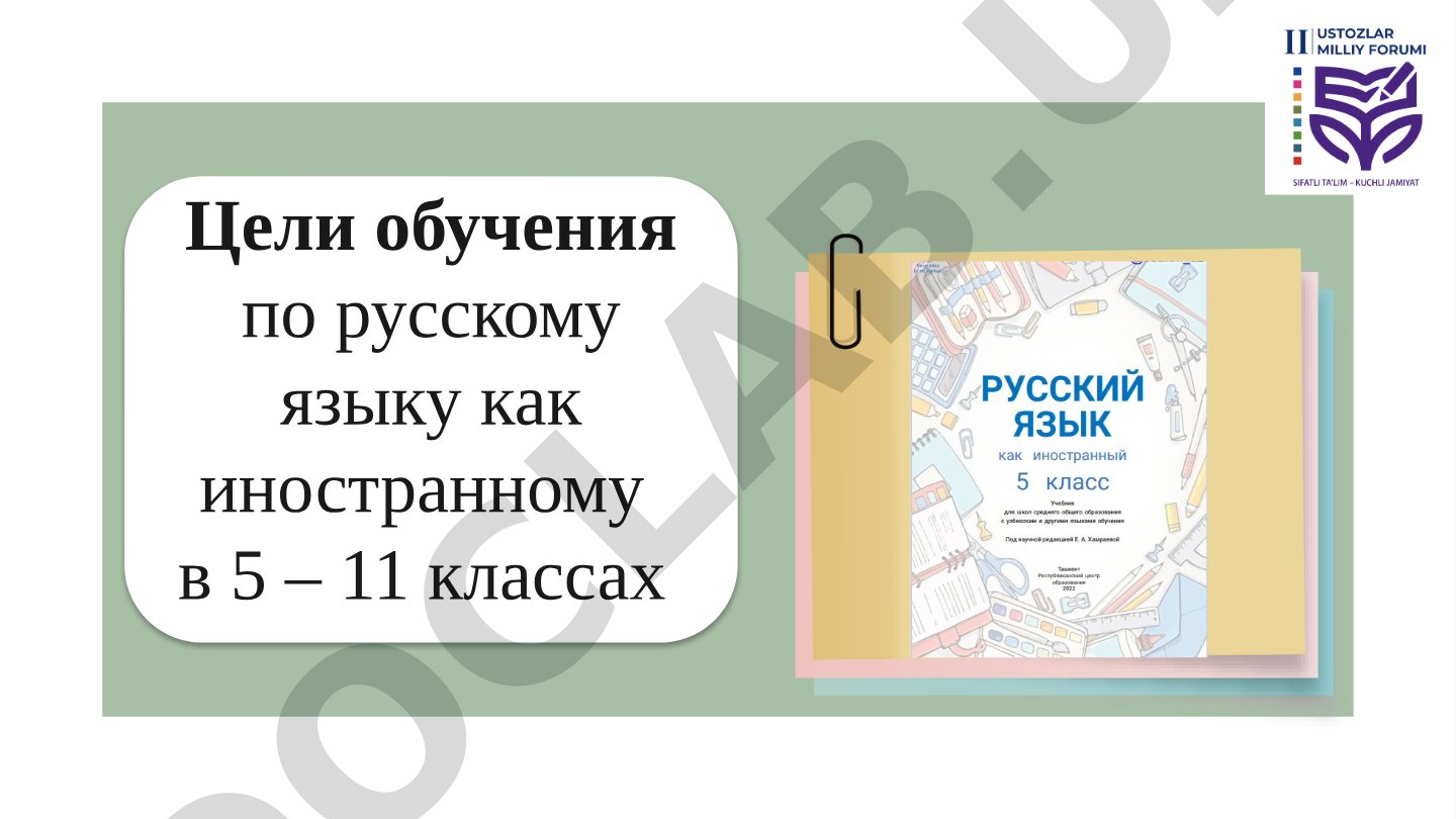 Цели обучения русскому языку как иностранному в 5-11 классах