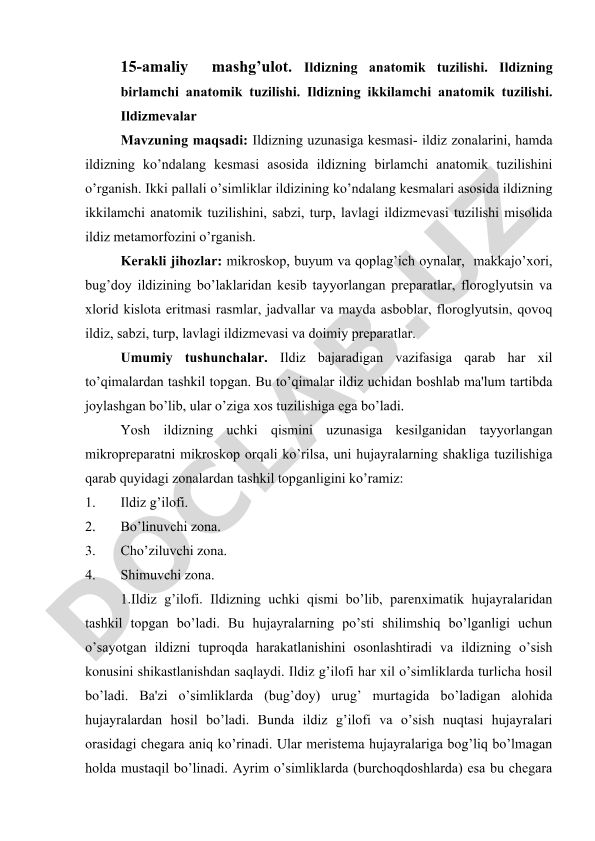 Ildizning anatomik tuzilishi va ildizmevalar