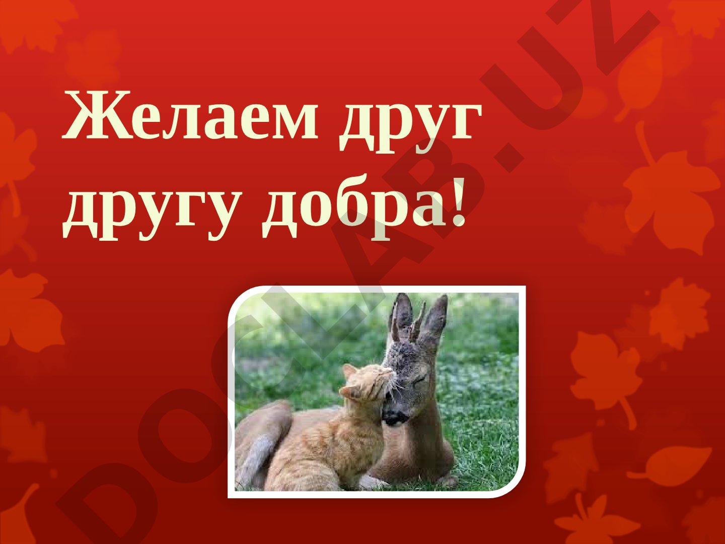 Чарушин Евгений Иванович: черты характера