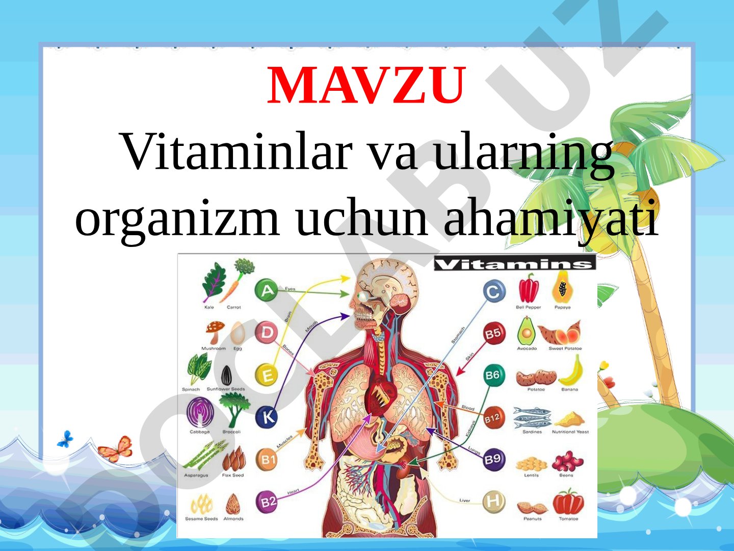 Vitaminlar va ularning organizm uchun ahamiyati
