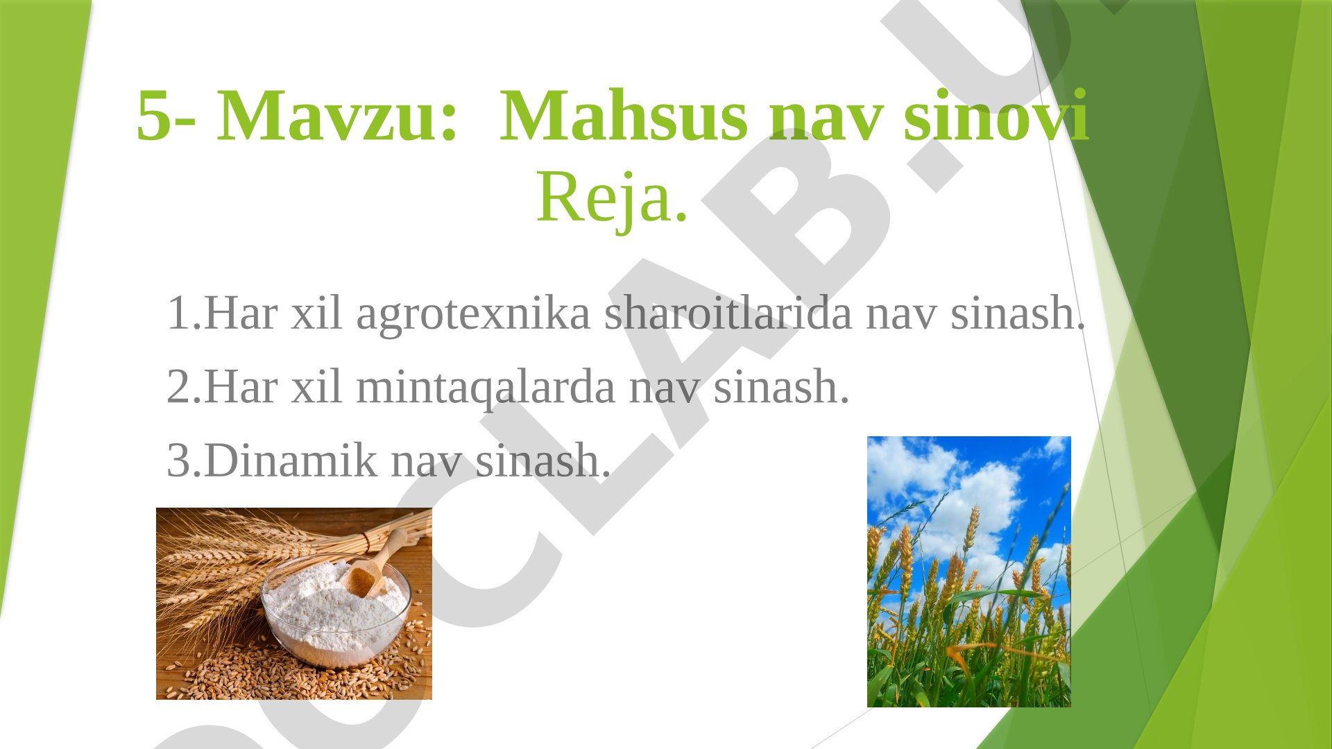 Maxsus nav sinash turlari va agrotexnika sharoitlarida nav sinash usullari haqida