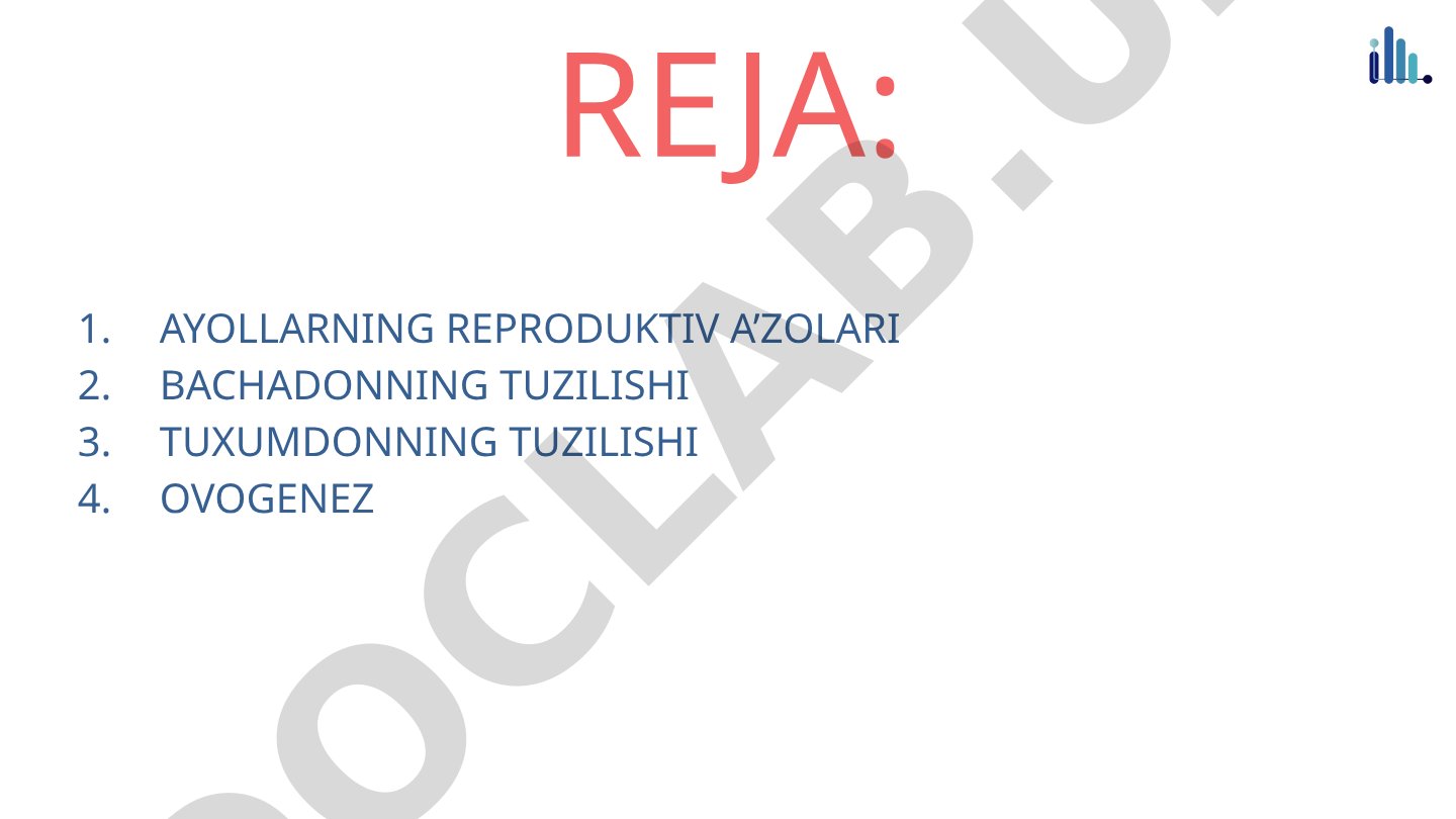 Ayollarning reproduktiv a'zolari, bachadon va tuxumdonning tuzilishi, ovogenez